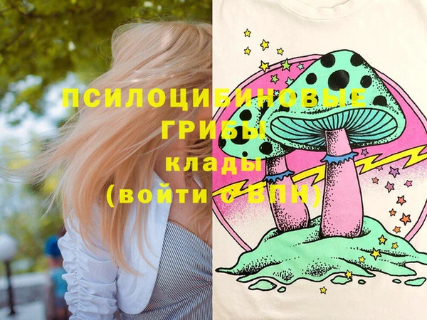 ешки Алексеевка