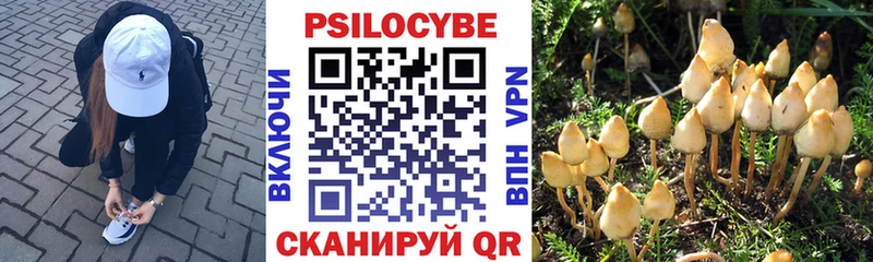 Галлюциногенные грибы GOLDEN TEACHER  Новокубанск 